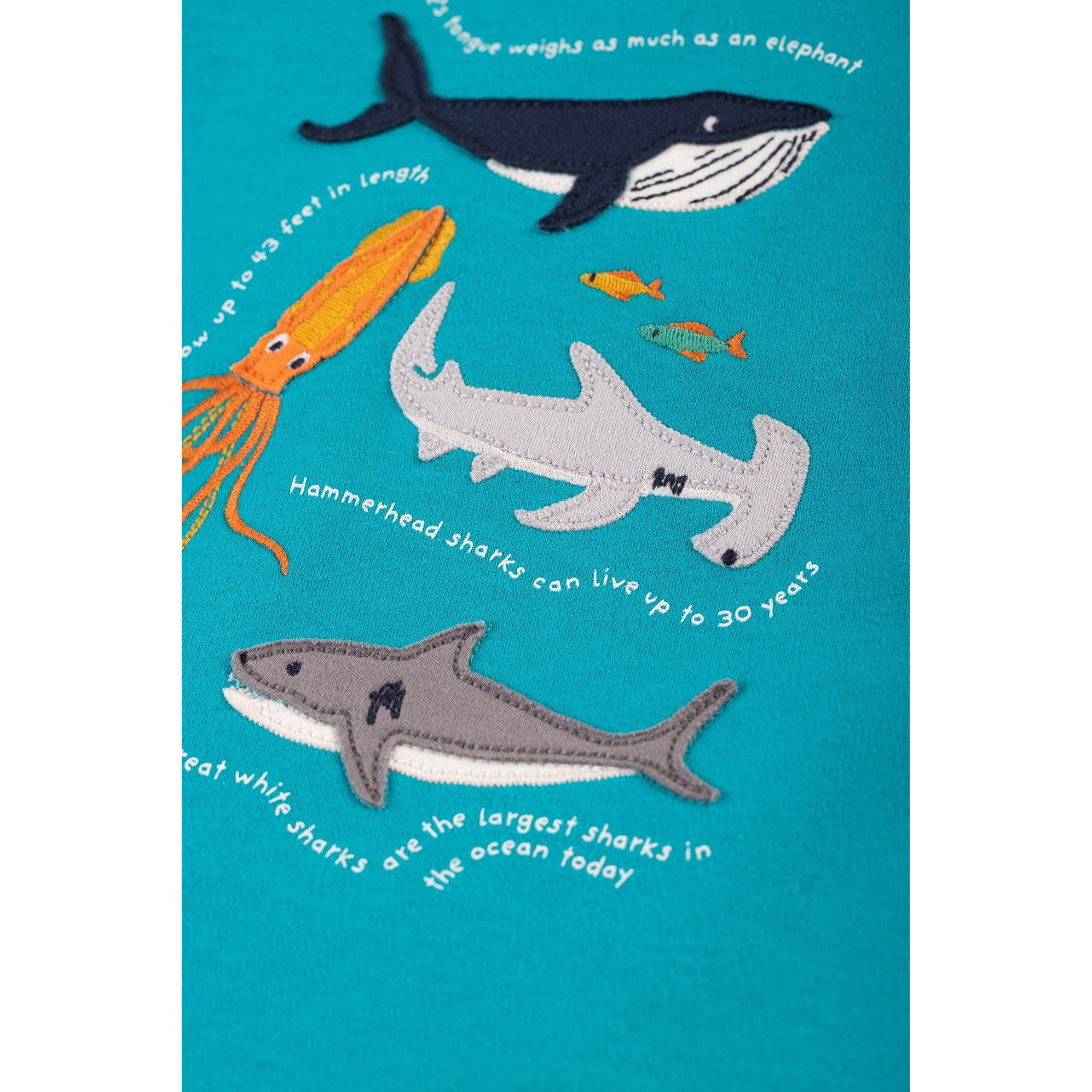 tricou_bumbac_organic_frugi_3