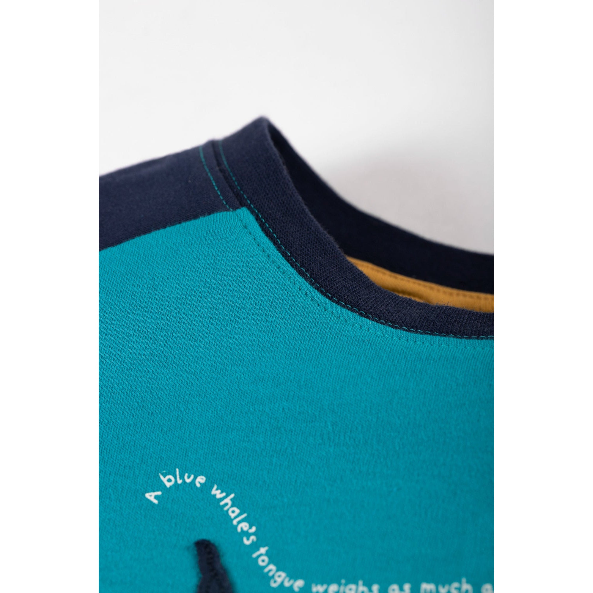 Tricou copii Frugi din bumbac organic, Switch Rishi